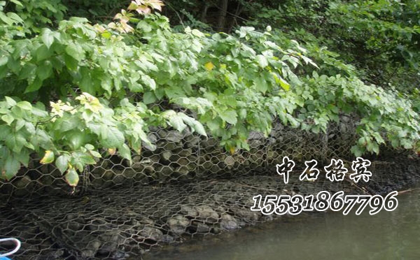 格賓網(wǎng)護岸 格賓網(wǎng)護岸