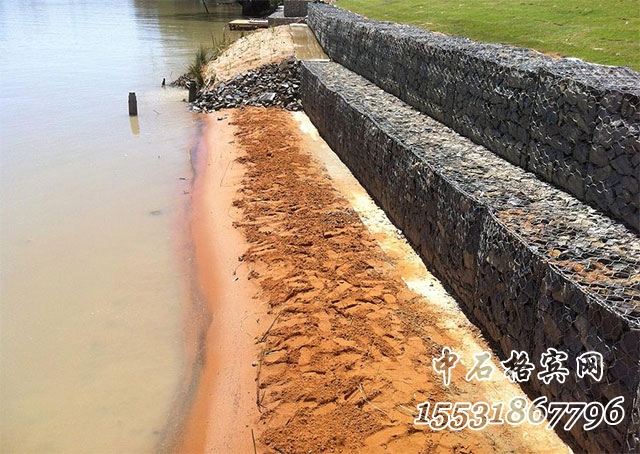 雷諾護墊 雷諾護墊