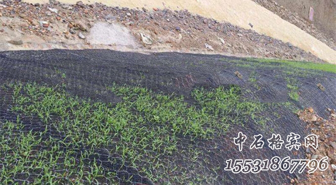 鍍高爾凡加筋麥克墊.jpg 鍍高爾凡加筋麥克墊.jpg